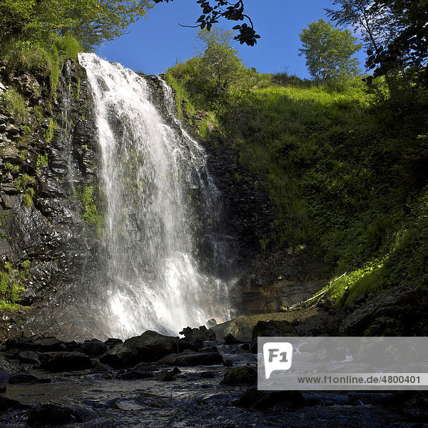 Wasserfall  Massif Sancy  DÈpartement Puy-de-DÙme  Region Auvergne  Frankreich  Europa