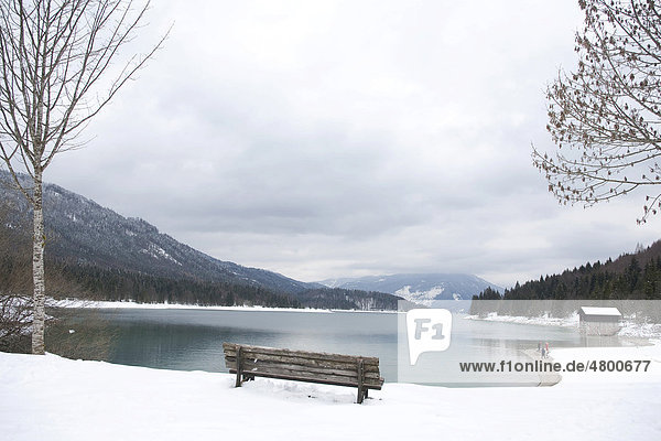 Bank on Walchensee in winter  Bavaria  Germany  Europe