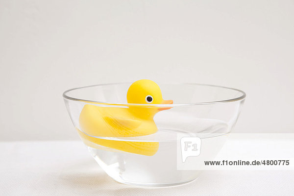Rubber duck floating in a glass bowl