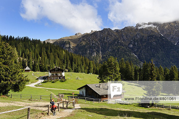 Adolf-Munkel-Weg unter den Geißlerspitzen  Geisslerspitzen  an der Glatschalm  Naturpark Puez-Geisler  Villnößtal  Südtirol  Italien  Europa