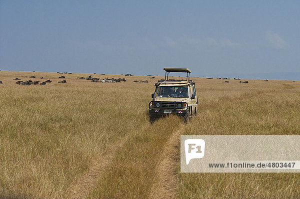 Geländefahrzeug in der Serengeti  Safari  Gamedrive  Tansania  Afrika