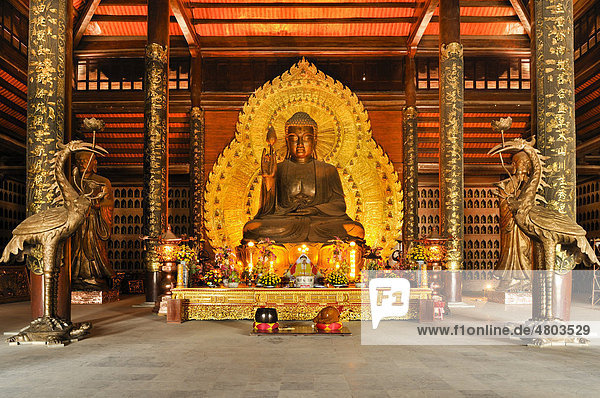 Goldene Buddhastatue auf der Baustelle der Pagode Chua Bai Dinh  wird eine der größten Pagoden Südostasiens  bei Ninh Binh  Vietnam  Südostasien