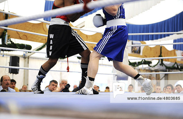Traditional boxing match in a beer tent at the Volksfest festival in Geretsried  Bavaria  Germany  Europe