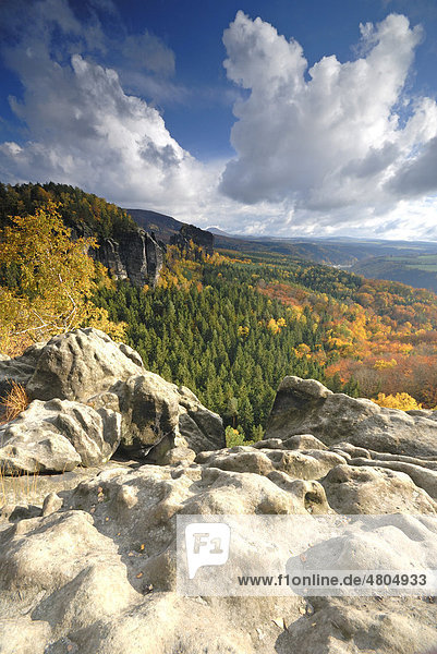 Blick über das herbstliche Elbtal  Elbsandsteingebirge  Sächsische Schweiz  Sachsen  Deutschland  Europa