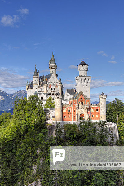 Blick vom Osten Schloss Neuschwanstein Ostallgäu Allgäu Schwaben Bayern Deutschland Europe