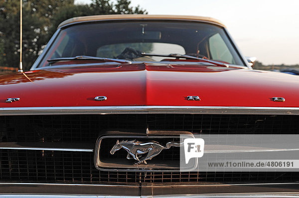 Oldtimer Detail  Kühlergrill und Symbol vom Ford Mustang Cabriolet  Baujahr 1967  147 KW  200 PS