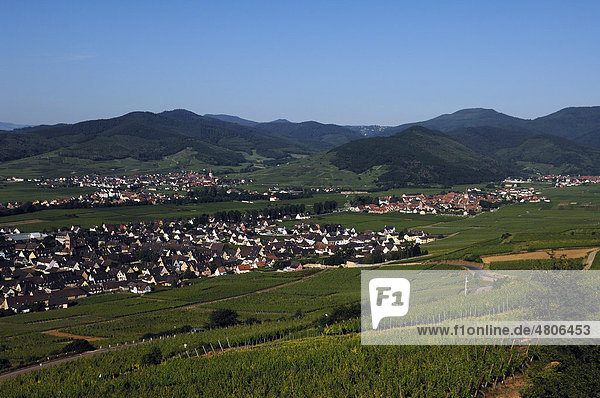 Blick auf Kientzheim mit Weinbergen  hinten Sigolsheim mit den Vogesen  Elsass  Frankreich  Europa