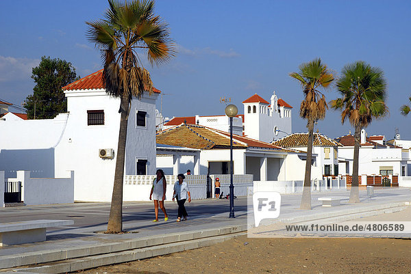 Promenade with palm trees  beach  La Antilla  Lepe  Costa de la Luz  Huelva region  Andalucia  Spain  Europe