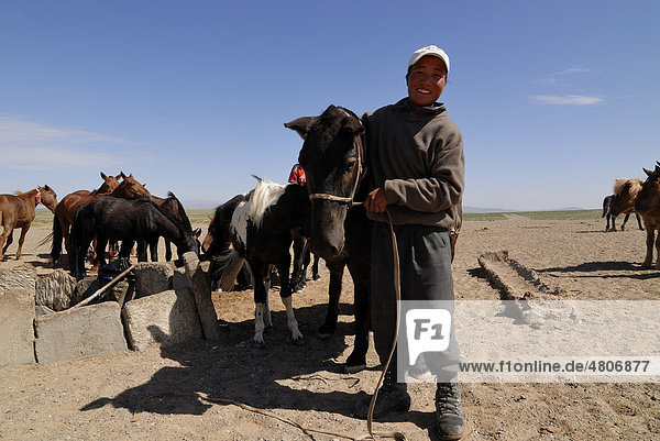 Mongolian boy taking a horse to a water hole for watering  Gobi Desert  Oemnoegov Aimak  Mongolia  Asia
