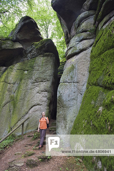 Woman hiking in the nature and rock park Falkenstein  Bavarian  Forest  Lower Bavaria  Germany  Europe