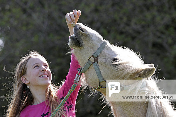Mädchen füttert ein Pony
