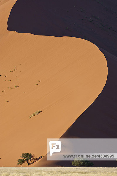 Dünenkamm in Sossusvlei im Naukluft Park Namib-Wüste Namibia Afrika