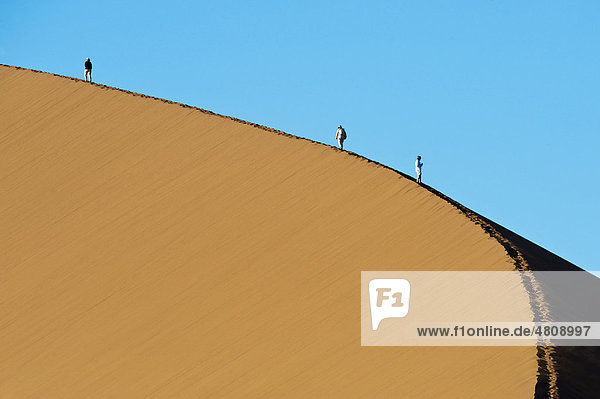 Tourists ascending dune 45  Sossusvlei  Naukluft Park  Central Namib Desert  Namibia  Africa