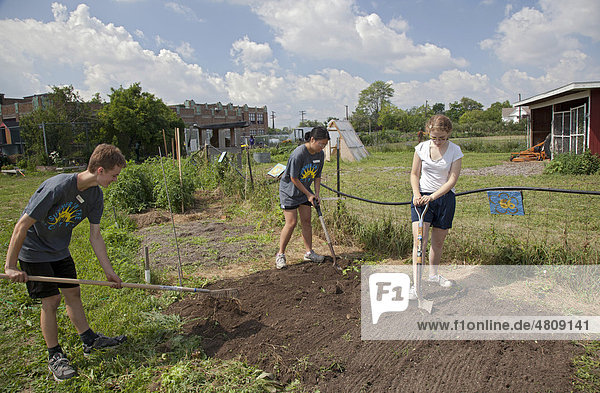 High school students work as volunteers in a garden at the Catherine Ferguson Academy  a Detroit public school  as part of the Summer in the City program  which puts students to work on community improvement projects  Detroit  Michigan  USA