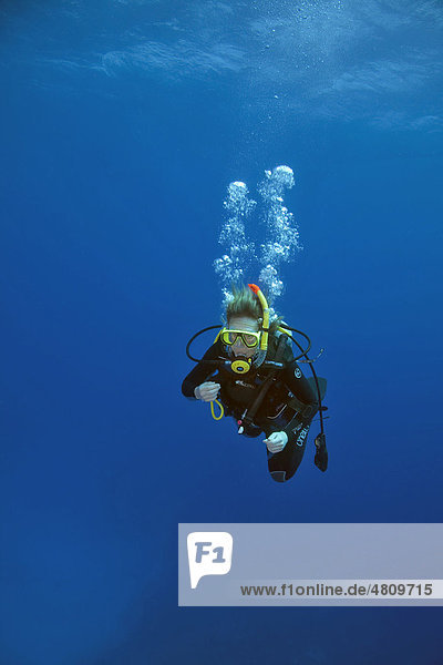 Scuba diver diving in blue water in the Red Sea  Marsa Alam  Red Sea  Egypt  Africa