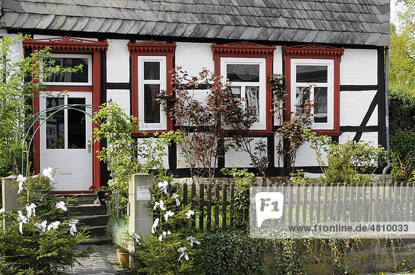 Fachwerkhaus mit Vorgarten in Goslar  Deutschland  Europa