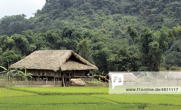 Pfahlbauten und Reisfelder der kulturellen Tay-Minderheit  Ha Giang  Vietnam  Südostasien