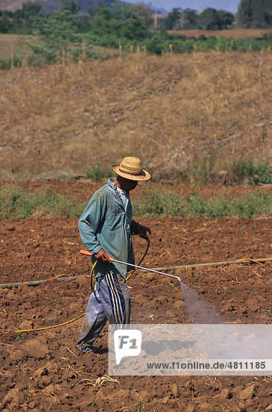 Landwirtschaft  Mann sprüht ein Feld per Hand  in der Nähe von Khao Yai Nationalpark  Thailand  Asien