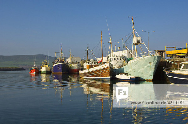 Commercial fishing boats  fleet moored at harbour  Dingle Harbour  County Kerry  Ireland  Europe