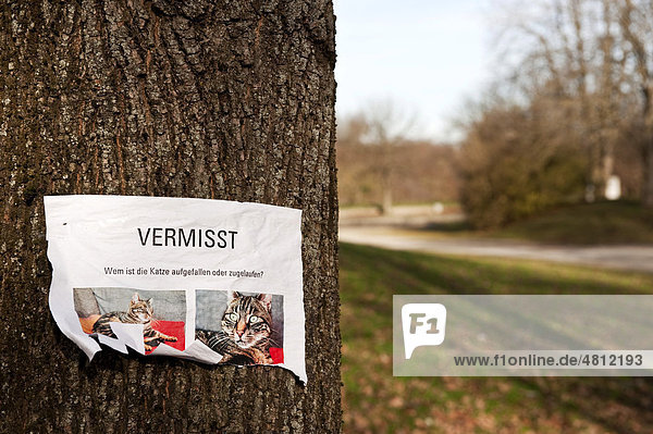 Piece of paper attached to a tree  cat missing  in German language