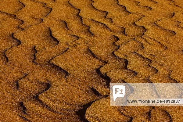 Strukturen im Sand  Sossusvlei  Namibia  Afrika