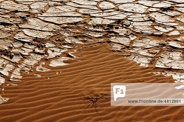 Ausgetrocknete Erde  Sossusvlei  Namibia  Afrika