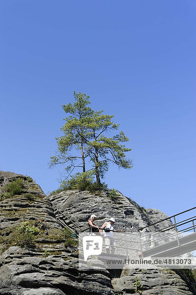 Bastei Elbsandsteingebirge Sächsische Schweiz Sachsen Deutschland Europa