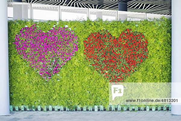 Blumen formen Herz-Muster auf einer grünen Wand