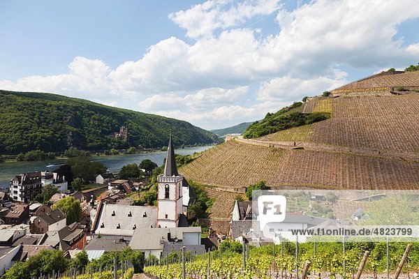 Europa  Deutschland  Rheinland-Pfalz  Blick auf Schloss und Dorf Assmannshausen