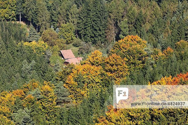 Österreich  Niederösterreich  Waldviertel  Wachau  Häuser im Wald bei Buschandlwand