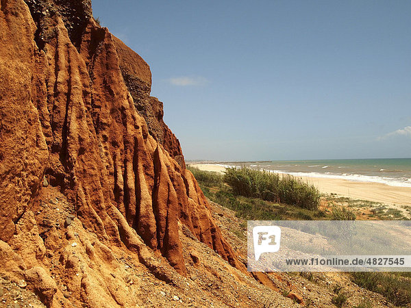 Steilküste und Strand Praia da Falesia bei Vilamoura  Algarve  Portugal  Europa