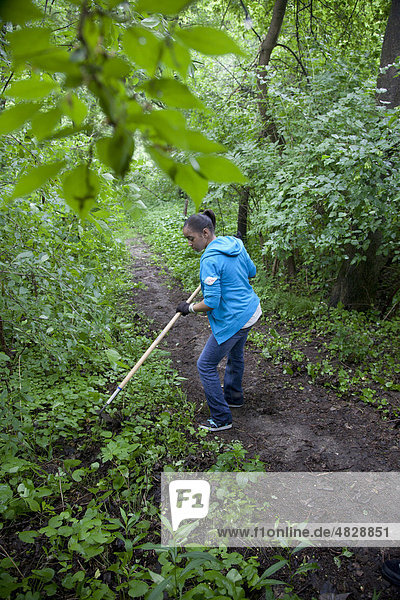 Volunteer works on a nature trail to remove invasive garlic mustard in Eliza Howell Park  Detroit  Michigan  USA