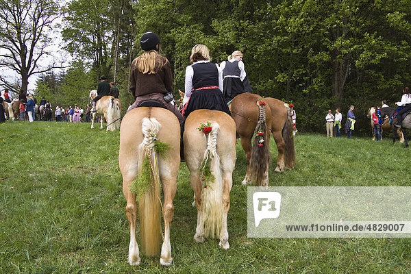 Mädchen reiten geschmückte Pferde  traditioneller Georgiritt an der Hubkapelle Penzberg  Oberbayern  Bayern  Deutschland  Europa