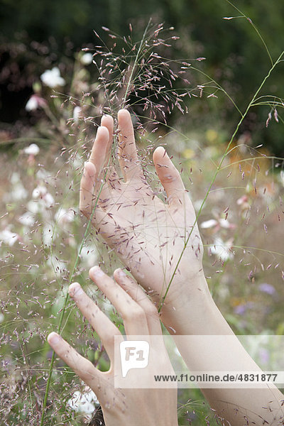 Hands touching delicate wildflower spray
