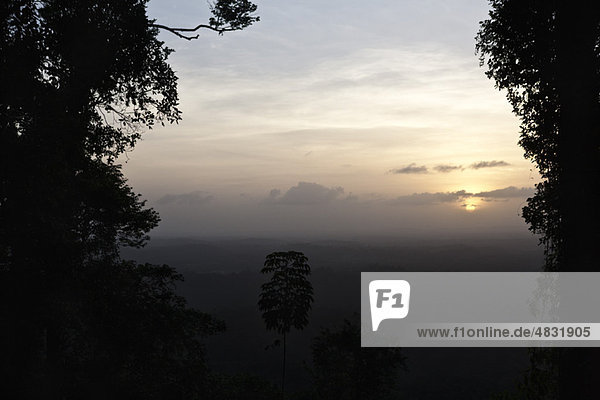 Sonnenuntergang über tropischem Regenwald