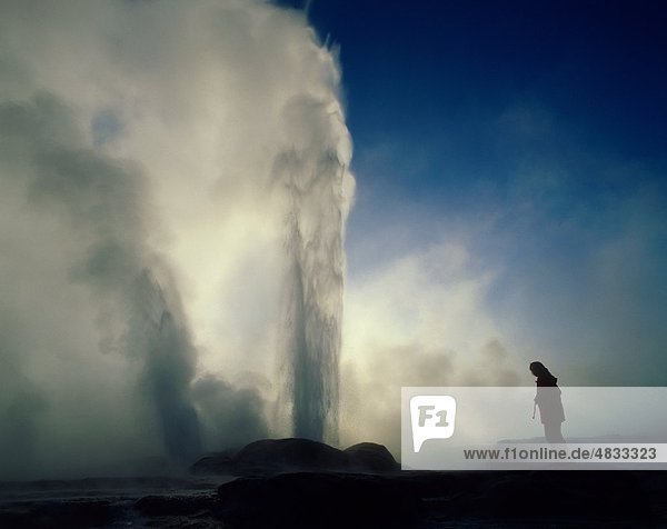 Bereich  Ehrfurcht  Geysir  Urlaub  Inspiration  Inspirational  Landmark  Nebel  Natural  Neuseeland  Phänomen  Pohutu  macht  Powerfu