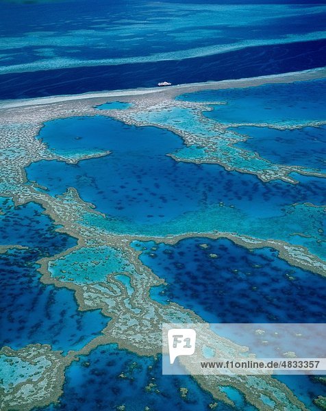 Atolle  Australien  Barriere  blau  Koralle  Korallenmeer  Great Barrier Reef und Urlaub  Landmark  Natural  Ozean  Pazifik  Pacific ocea