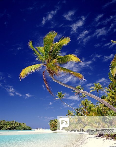 Aitutaki Atoll Beach Cook islands Holiday Island Landmark Palm trees Polynesia Sand Sea South pacific Tourism Trave