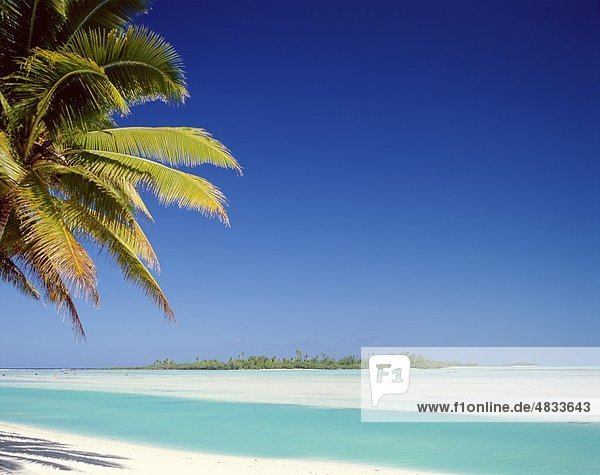 Aitutaki Atoll Beach Cook islands Holiday Island Landmark Palm trees Polynesia Sand Sea South pacific Tourism Trave