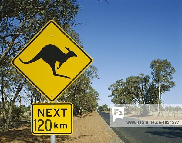 Australien  Urlaub  Känguruh  Landmark  Nordterritorium  Straße  Schilder  Tourismus  Reisen  Urlaub