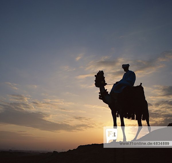 Camel  Egypt  Africa  Giza  Holiday  Landmark  Man  Sunrise  Tourism  Travel  Vacation