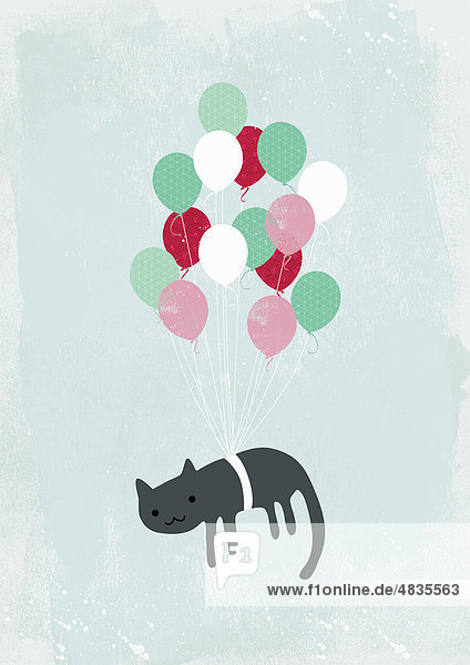 Katze wird von Heliumballons in die Luft gehoben