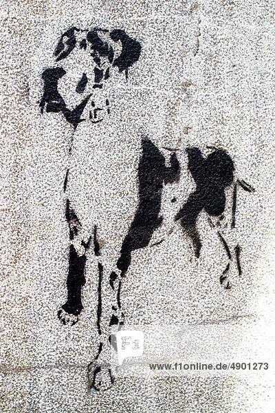 A huge dog  Stencil Graffiti Art