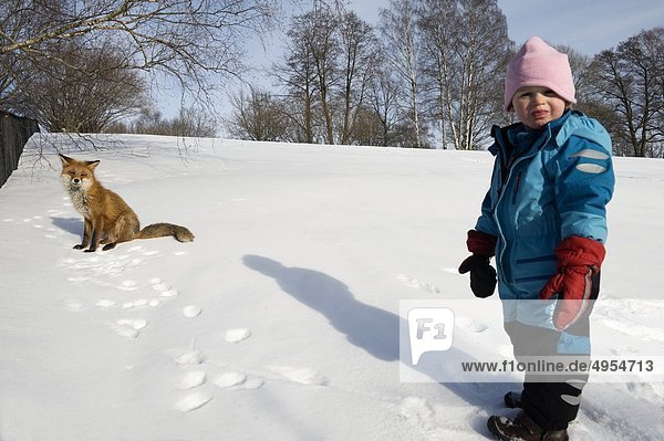 Mädchen Stand auf Schnee vor der Rotfuchs