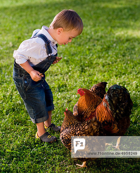 Junge spielt mit Huhn