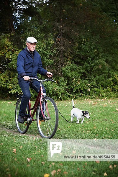 älterer Mann Radfahren mit der hält Hund Blei