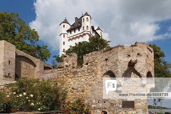 Europa  Deutschland  Hessen  Blick auf das Kurfürstliche Schloss von eltville
