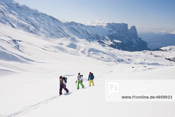 Italy  Trentino-Alto Adige  Alto Adige  Bolzano  Seiser Alm  Group of people on ski tour