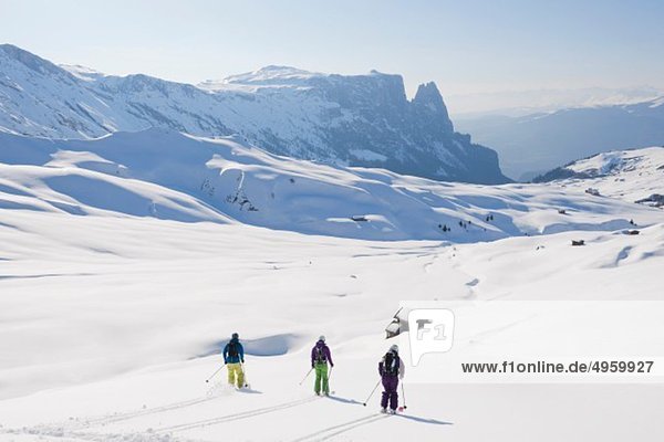 Italy  Trentino-Alto Adige  Alto Adige  Bolzano  Seiser Alm  Group of people skiing on snowy landscape