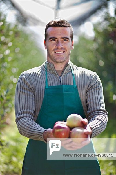 Croatia  Baranja  Young man holding apples  smiling